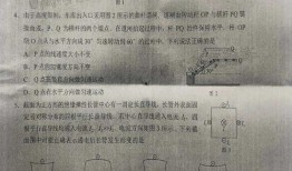 羊村最新爆料新闻事件是真的吗,事件真实性遭热议