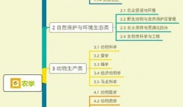 蒙哥爆料大头视频大全集,大头视频大全集背后的精彩故事