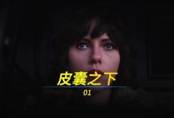 皮囊之下在线观看,揭开人性深处的悬疑面纱