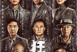 蒙哥爆料大头视频大全集,大头视频大全集背后的精彩故事