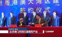 云浮新闻爆料,最新爆料揭示城市动态与民生焦点
