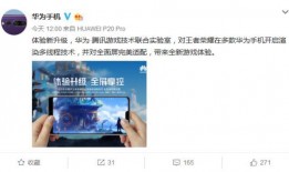 赵华为爆料视频在线观看,独家在线观看，一探究竟