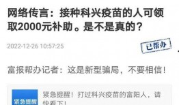 富阳新闻爆料怎样操作,揭秘事件背后真相，深度剖析社会热点