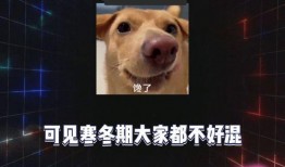 娱乐八卦吃瓜网站,明星背后的惊人真相，你绝对想不到！